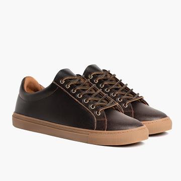 Thursday Boots Premier Low Tops Nahkaiset Classic Miesten Tennarit Ruskea | FI230JPQ